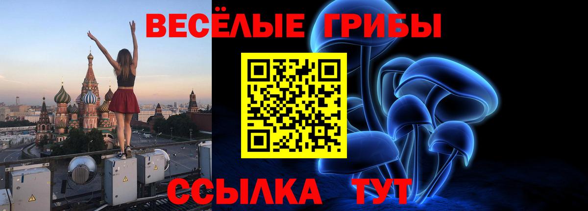 Псилоцибиновые грибы Magic Shrooms Сланцы